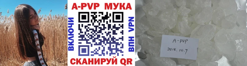 мега ONION Кемь A-PVP СК